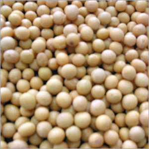 Soyaiso Flavones Powder