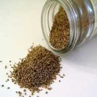 Celery Seed Extract - 99% Pure Powder Form , Herbal Remedy For Healthy Joints, Digestion, And Anti-inflammatory Support