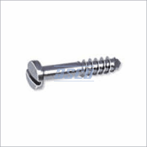 Lag Screw Dia 2 mm