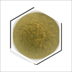 Moringa Oleifera Seeds Cake Powder