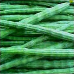Drumsticks Moringa Pod