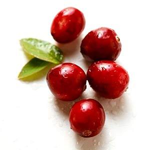 Red Cranberry Extract