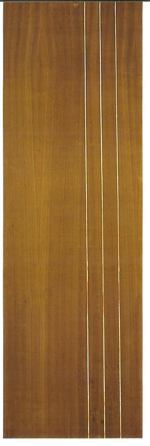 Designer Veneered Doors