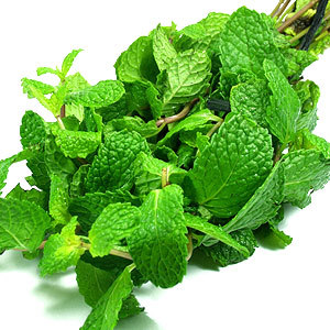 Peppermint Oil Extract