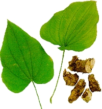 Mexican Extract