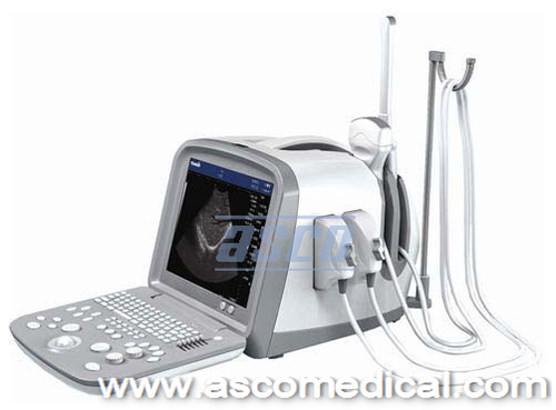 UltraSound Scanner US1100