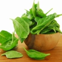 Spinach Extract Powder Purity(%): 99%