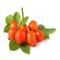 Rosehip Extract Powder Purity(%): 99%