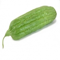 Bitter Melon Extract