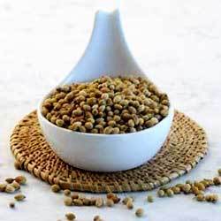 Ground Coriander Seeds