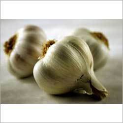 Garlic & Garlic Seeds