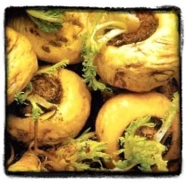 Maca Root Powder Extract