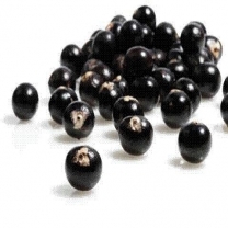 Acaiberry Extract 