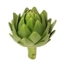 Artichoke Extract