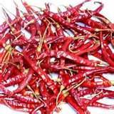 Indian Red Chillies