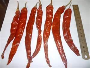 Raw Dried Red Chilli