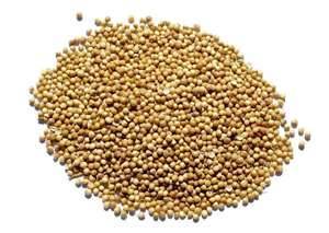 Coriander Seeds
