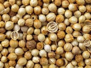 Dhania Seeds