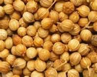Drying Coriander Seeds