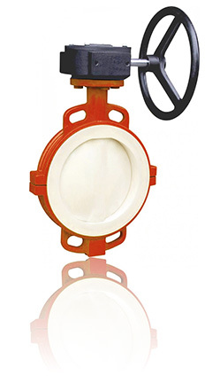 PTFE line Butterfly valve