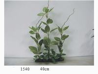 Aquarium Plants and Supplies