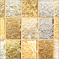 Rice