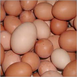 Brown Eggs