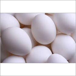 White Eggs