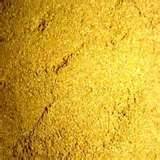 Dry Coriander Powder