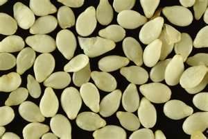 Sesame Seeds