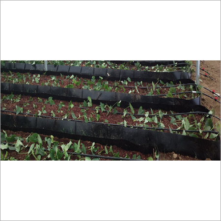 Drip Irrigation System