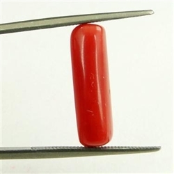 Cylindrical Shape Natural 4ct Italian Red Coral