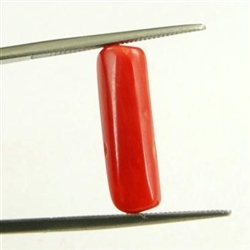 4.10ct Cylindrical Shape Natural Italian Coral