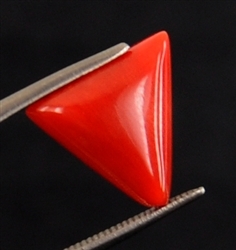 Natural Triangular Shape Natural 4.27ct Italian Red Coral