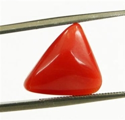 Triangle Shape Natural 4.50ct Italian Red Coral