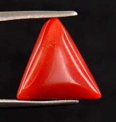 Cylindrical Shape Natural 5.170ct Italian Red Coral