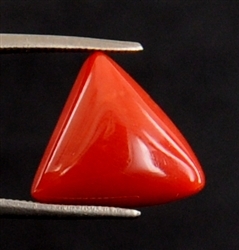 Cylindrical Shape Natural 6.37ct Italian Red Coral - 11.63x7.91mm, Red, AAA Quality, Natural Gemstone, Ring/Pendant