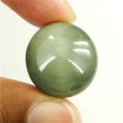 43.50Ct. Natural Cat's Eye Loose Birthstone