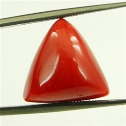 Natural Triangular Shape Natural 12.60ct Italian Red Coral