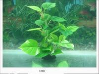MJ 1230 Aquarium Plastic Plant - Plastic, 15cm, Green | Ceramic Base, Realistic Look, Durable, Multiple Leaves and Stems