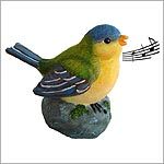 Talking Bird