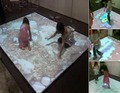 Interactive Floor System