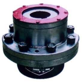 Gear Coupling