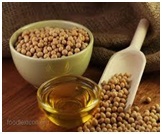 Edible Oil