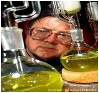 Oil Extracting plants