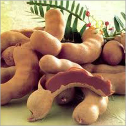 Raw Tamarind