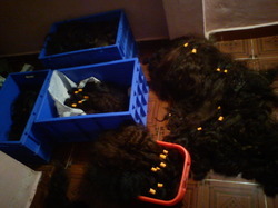 Indian Remy Hair
