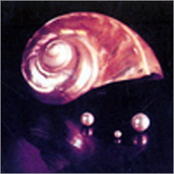 Nail Enamels
