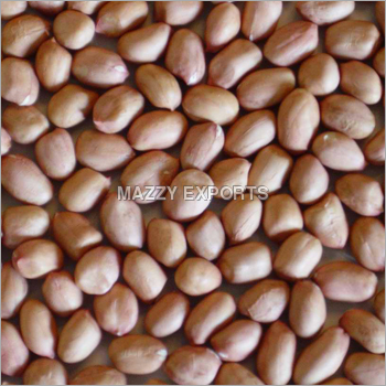 Groundnut Kernels Java