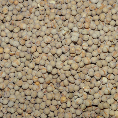 Chick Peas